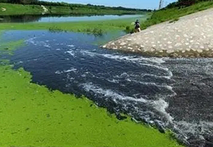 面对黑臭水体治理难题，都有哪些应用不错的处理工艺？