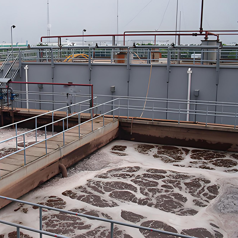 培菌注意事项有哪些？